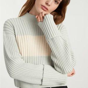 everlane cotton ribbed rollneck sweater